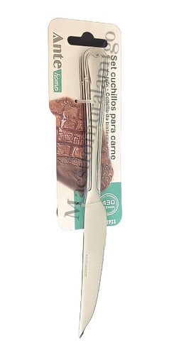 Set 2 Cuchillos Para Carne 100% Acero Inoxidable Nivel 430 Plateado